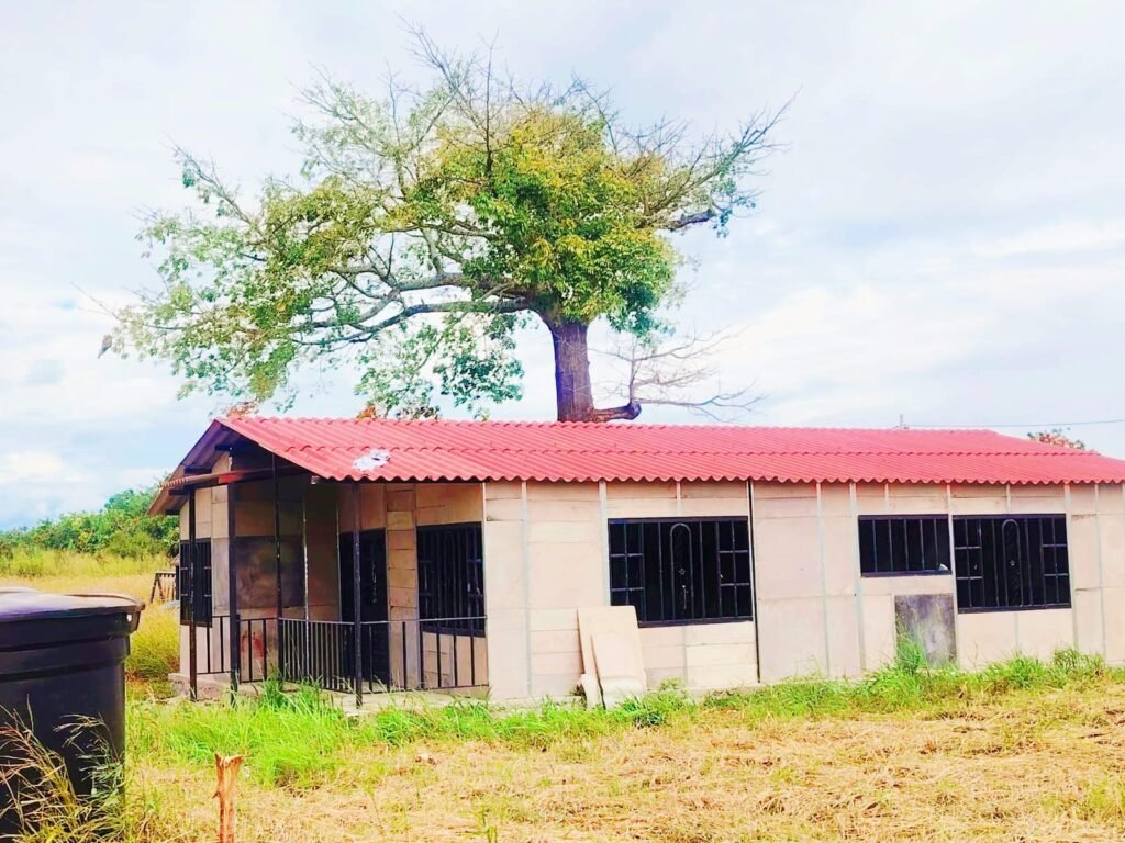 casa 10